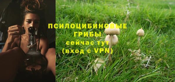 ALPHA PVP Богородск