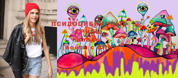 spice Белокуриха