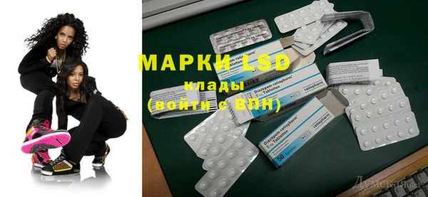 spice Белокуриха