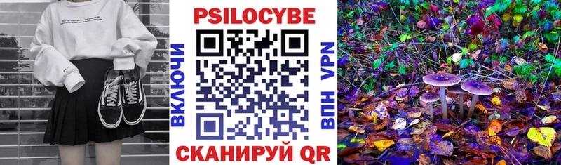 купить  цена  Гатчина  Галлюциногенные грибы мухоморы 