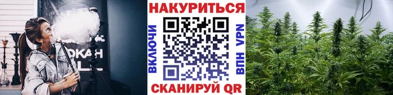 Бошки марихуана план  Гатчина 